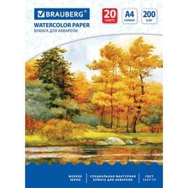 Папка для акварели А4 210*297мм, 20л. BRAUBERG вн.блок 200 г/м2 бумага. по ГОСТ 7277-77, 125226 125226 