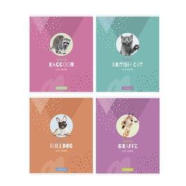 Тетрадь 48л., А5, клетка ArtSpace "Питомцы. Cute animal", суперэконом Т48кЭ_24460