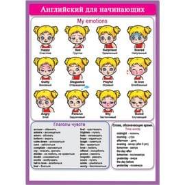 39708 Английский для начинающих 155*210 39708
