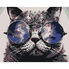 Картина по номерам КАКАДУ 40х50 KA 00055 Кот в очках KA 00055