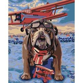 Картина по номерам КАКАДУ 40х50 KA 00133 Пилот KA 00133