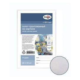 Холст на картоне Гамма "Студия", 20*30см, 100% хлопок, 280г/м2, мелкое зерно 280818_02