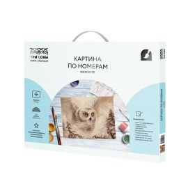 Картина по номерам на холсте ТРИ СОВЫ "Полярная сова", 40*50, с акриловыми красками и кистями КХ_44165