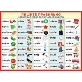 Плакат Пишите правильно 0-02 /Россия 026283