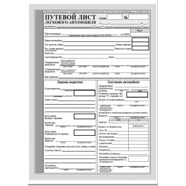 Путевой лист легкового авто А5 300213