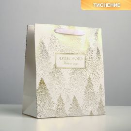 Пакет ламинированный вертикальный «Чудесного праздника», ML 23 × 27 × 11,5 см   4843286 4843286