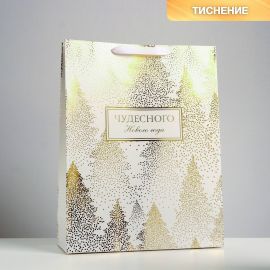 Пакет ламинированный вертикальный «Чудесного праздника», L 31 × 40 × 11,5 см   4843288 4843288
