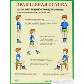 Плакат "Правильная осанка "  0-02/10/Россия 024331