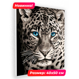 Картина по номерам 40х50 N 00007 Голубоглазый леопард+ N 00007