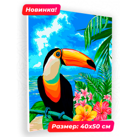 Картина по номерам 40х50 N 00092 Тукан+ N 00092