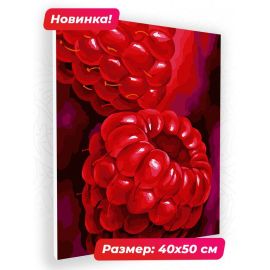 Картина по номерам 40х50 N 00126 Малина (ЛИЦЕНЗИЯ) N 00126