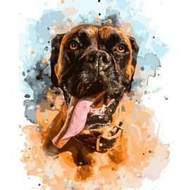 Картина по номерам 40х50 OK 11103 Боксер OK 11103