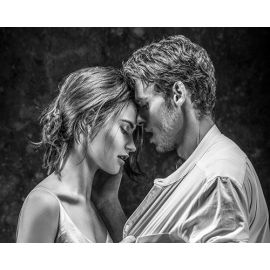 Картина по номерам 40х50 GX 36869 Пара GX 36869