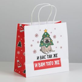 Пакет подарочный «А вас также», 22 × 22 × 11 см   6249087 6249087