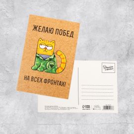 Почтовая карточка «С 23 февраля», котик, 10 × 15 см 3812537