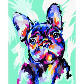 Картина по номерам на холсте ТРИ СОВЫ "Яркий французский бульдог", 40*50, с акриловыми красками и кистями КХ_44171