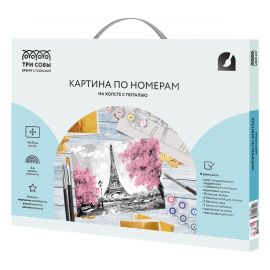 Картина по номерам на холсте ТРИ СОВЫ "Париж", 40*50, с поталью, акриловыми красками и кистями КХп_48154