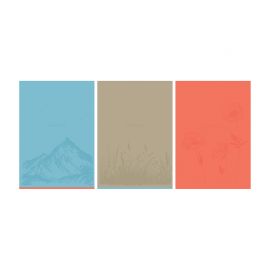 Тетрадь 96л., А4, клетка BG "Monocolor. Serenity", выб. лак Т4ск96_вл 11211