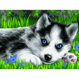 Картина по номерам на картоне ТРИ СОВЫ "Голубоглазый пушистик", 30*40, с акриловыми красками и кистями КК_44043