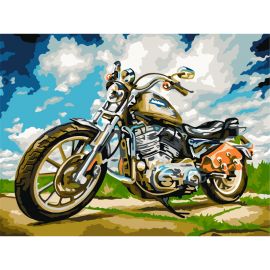 Картина по номерам на картоне ТРИ СОВЫ "На скорости", 30*40, с акриловыми красками и кистями КК_44056