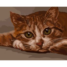 Картина по номерам на холсте ТРИ СОВЫ "Рыжик", 40*50, с акриловыми красками и кистями КХ_44173