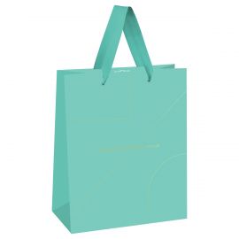 Пакет подарочный 18*23*10см MESHU "Monocolor. Tiffany", отд. фольгой, матовая ламинация MS_51855