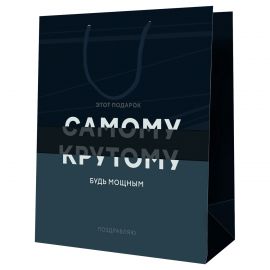 Пакет подарочный 18*23*10см MESHU "Самому крутому", ламинированный MS_52123