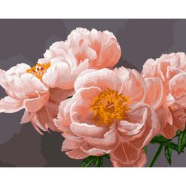 Картина по номерам на холсте ТРИ СОВЫ "Нежность", 40*50, с акриловыми красками и кистями КХ_44146