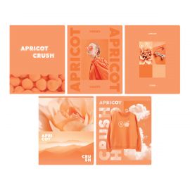 Тетрадь 48л., А5, клетка BG "Apricot", матовая ламинация Т5ск48_лм 12721