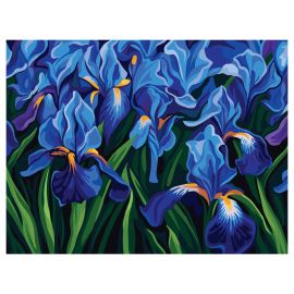Картина по номерам на холсте ТРИ СОВЫ "Ирисы", 30*40, с акриловыми красками и кистями КХ3040_53874