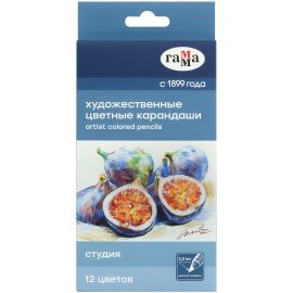 Карандаши цветные художественные Гамма "Студия", 12цв., заточен., картон. упаковка 100822_12