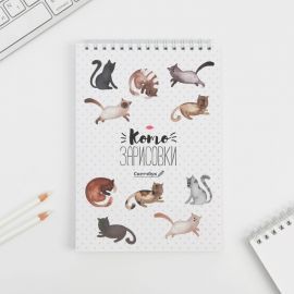 Скетчбук «Кот» А5, 40 л, 100 г/м 1825575