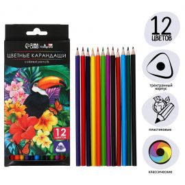 Карандаши 12 цветов Calligrata Soft, заточенные, трехгранные, пластиковые, картонная упаковка, европодвес 9904957