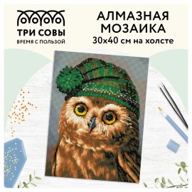 Алмазная мозаика ТРИ СОВЫ "Сова", 30*40см, холст, картонная коробка с пластиковой ручкой АМ3040_47542