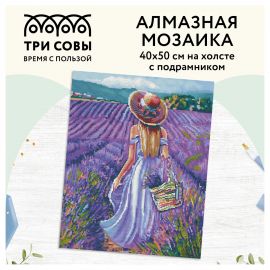 Алмазная мозаика ТРИ СОВЫ "Прованс", 40*50см, холст на деревянном подрамнике, картонная коробка с пластиковой ручкой АМП4050_47623