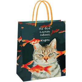 Пакет подарочный 11*14*6,5см MESHU "Moody cat",  глянцевая ламинация MS_61595