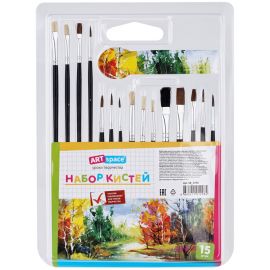Набор кистей ArtSpace 15шт., пони, щетина, плоские, круглые, блистер SB_3298