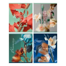 Тетрадь 48л., А5, клетка BG "Blooming", матовая ламинация Т5ск48_мл 12712