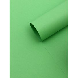 Бумага упаковочная крафт «Зеленый»,50×70 см 10779017