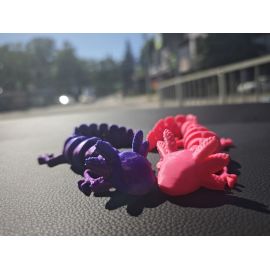 Аксолотль 3D, ассорти 46071774552087