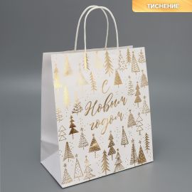 Пакет подарочный новогодний крафтовый «С Новым годом», 22×25×12 см 9524109