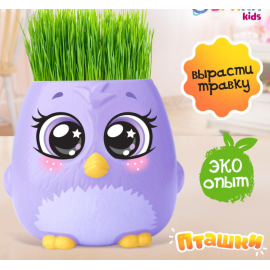 Набор для опытов, для детей «Пташки, выращиваем травку», растение в фиолетовом горшочке 5155390
