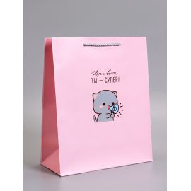Пакет подарочный ламинированный «Ты супер», 26×12×32 см 10978174