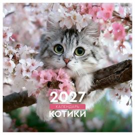 Календарь настенный перекидной на скрепке, 230*230 мм 12л. BG "Котики", 2027г. 390943