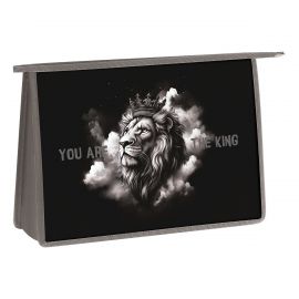 Папка для труда 2 отделения, А4, ArtSpace "King", пластик, на молнии ПТР22_PH0001