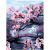 Картина по номерам на картоне ТРИ СОВЫ "Цветущая сакура", 30*40, с акриловыми красками и кистями KK3040_00013