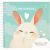 Скетчбук 60л., 150*150 MESHU "Funny banny", на гребне, soft-touch, 120г/м2 MS_64032