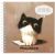 Скетчбук 60л., 150*150 MESHU "Сute kitten", на гребне, soft-touch, 120г/м2 MS_64033