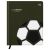 Дневник 1-11 кл. 48л. (твердый) BG "Sport. Football", иск. кожа, комбинирование материалов, тиснение фольгой, ляссе D5h48_64481