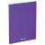 Папка с 30 вкладышами Berlingo "Raze" А4, 17мм, 600мкм, с внутр. карманом, фиолетовая, софт-тач DB4_30152